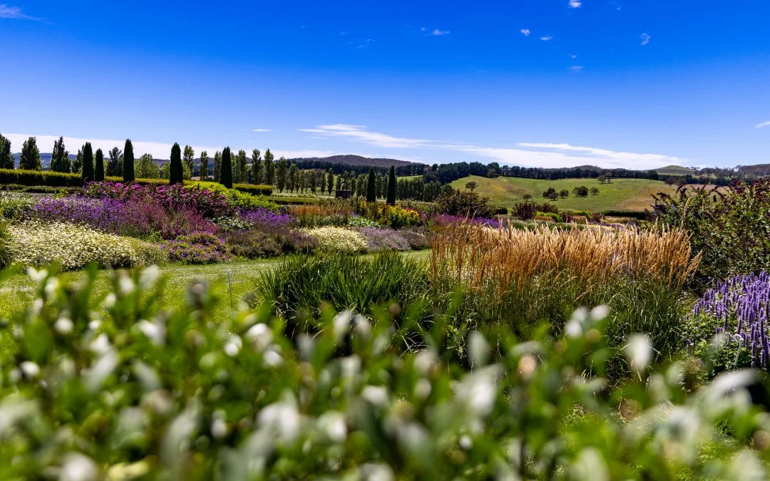 Mayfield Garden Spring Glamping