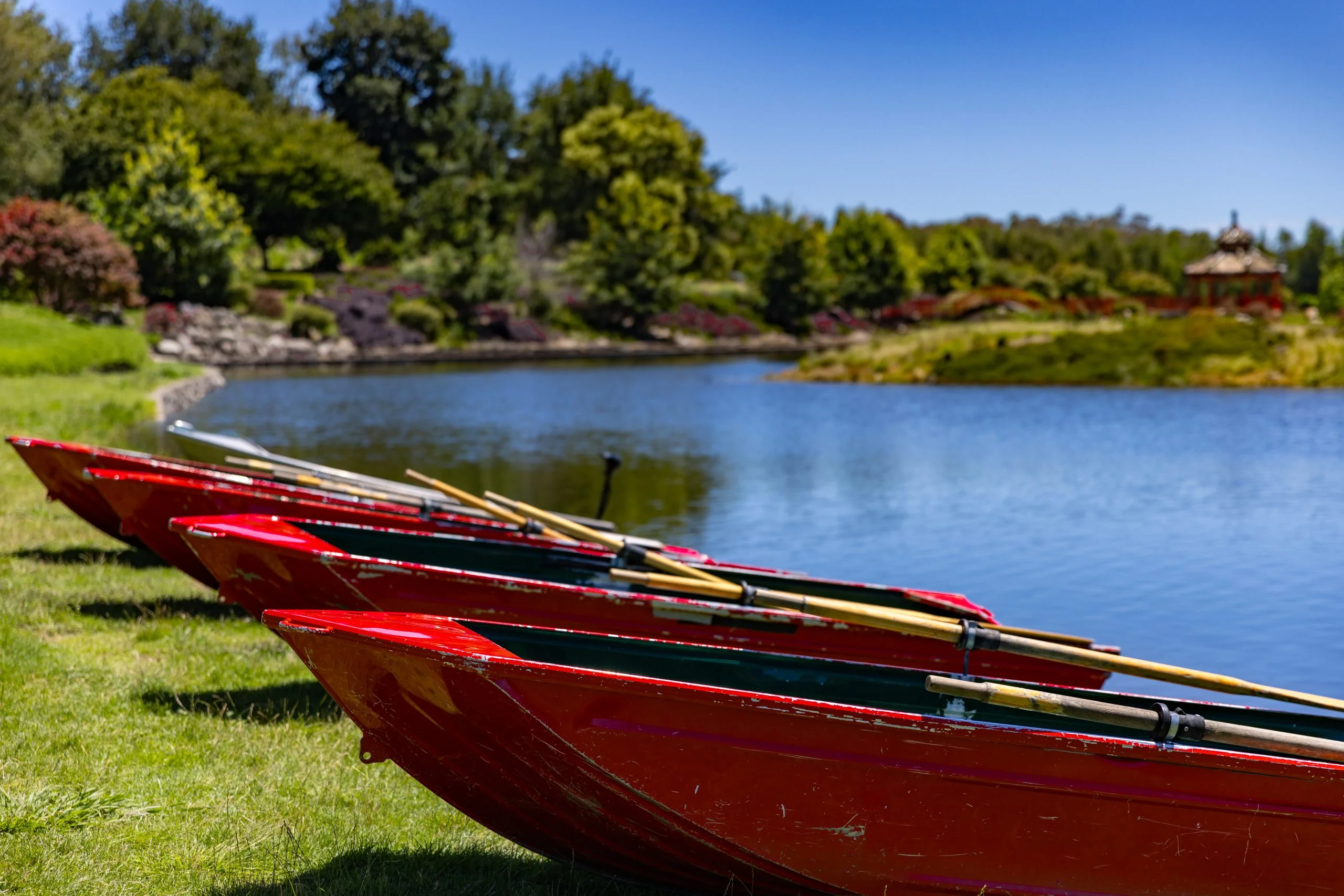 Photography photograph 5
